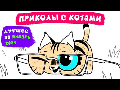 Видео: Приколы с котами. ЛУЧШЕЕ ЗА ЯНВАРЬ 2021 | Мемозг