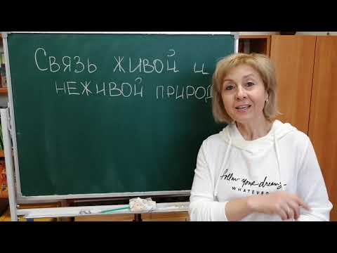 Видео: Юный эколог  Тема   Связь между живой и неживой природой