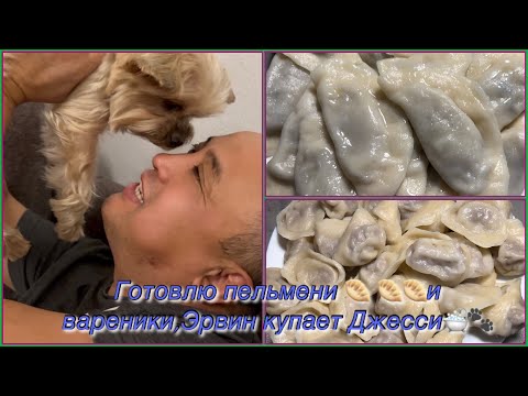 Видео: Готовлю пельмени и вареники, а Эрвин купает Джесси 😁🥰