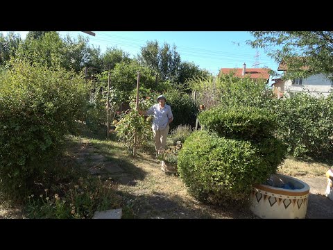 Видео: Епизод 41. Пожарите - влияние на тревостоя, животните, санитарната сеч, туризма и т.н.