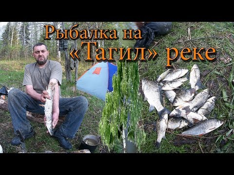 Видео: Рыбалка на Тагил реке