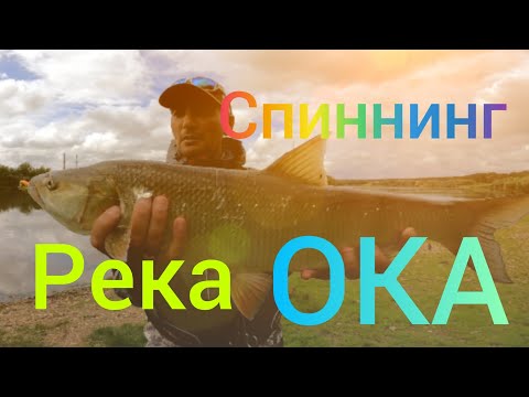 Видео: Рыбалка На Спиннинг/РЕКА ОКА.Ловля Жереха. Район Ступино. #NEKFiSh