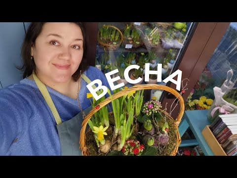 Видео: Посадочки из весенних первоцветов на 8 марта