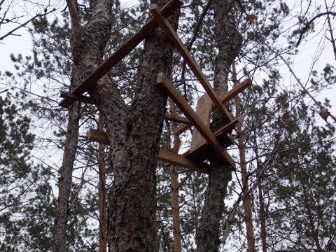 Видео: Лесная засидка