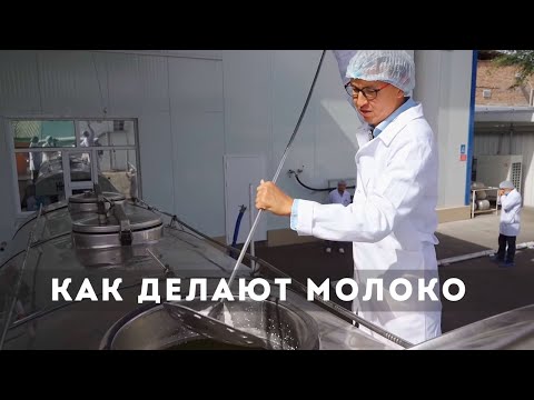 Видео: Цена на МОЛОКО. Как собирают и делают МОЛОКО в Кыргызстане. Большой выпуск