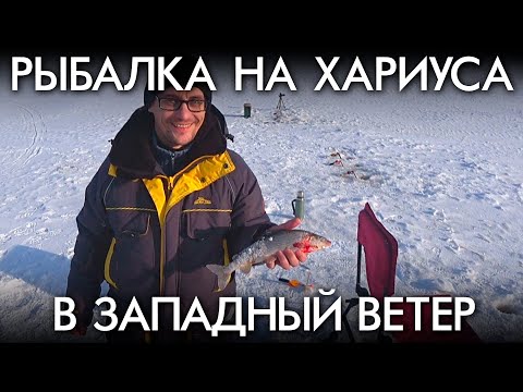 Видео: Рыбалка на хариуса в западный ветер