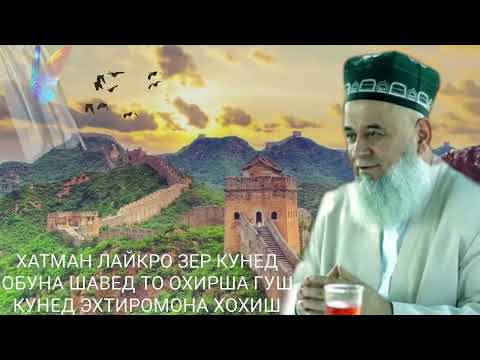 Видео: Хочи Мирзо 2022   Саволу Чавоб 4 марта
