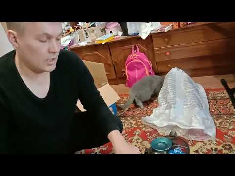 Видео: Обзор нового пылесоса Philips FC9550/09