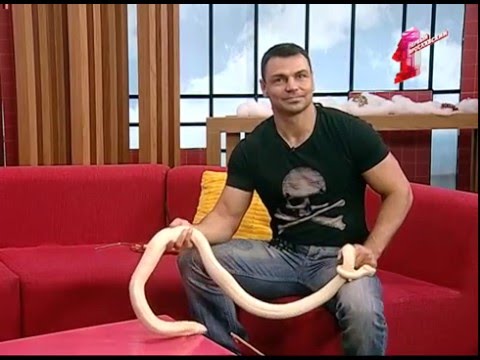 Видео: Самое доброе утро - это утро с белой коброй!