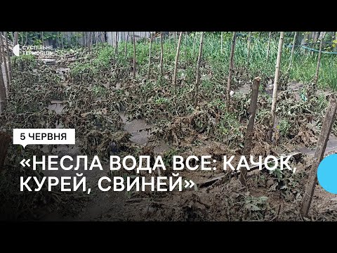Видео: Наслідки зливи у селі Підгайчики на Теребовлянщині