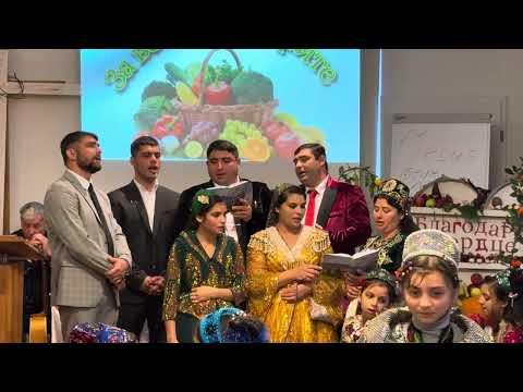 Видео: богар