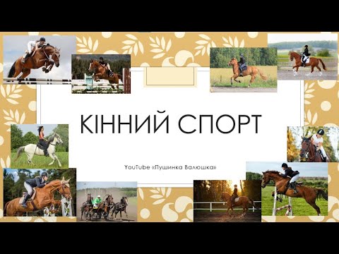 Видео: Кінний спорт 🏇| види | історія | що розвиває 👍