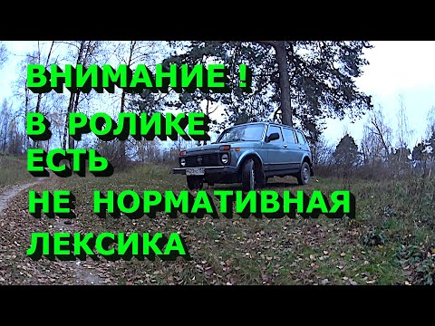 Видео: Ищем длинную ниву! Бюджет 200-300 тысяч. Столько хлама я ещё не видел!