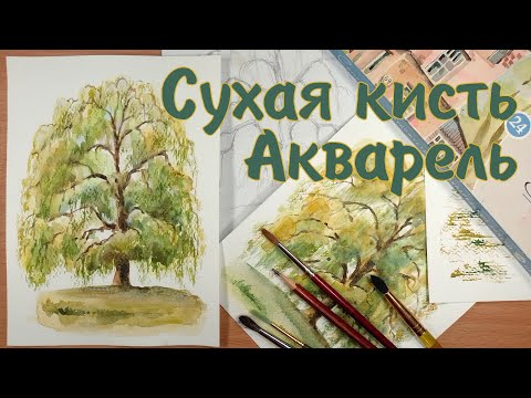 Видео: Рисуем ДЕРЕВО АКВАРЕЛЬЮ | ТЕХНИКА СУХОЙ КИСТИ💚BEAUTIFUL WATERCOLOR PAINTING