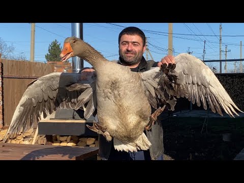 Видео: ВНИМАНИЕ❗️Праздничный рецепт ГУСЯ в дровяной печи, из сказки❗️