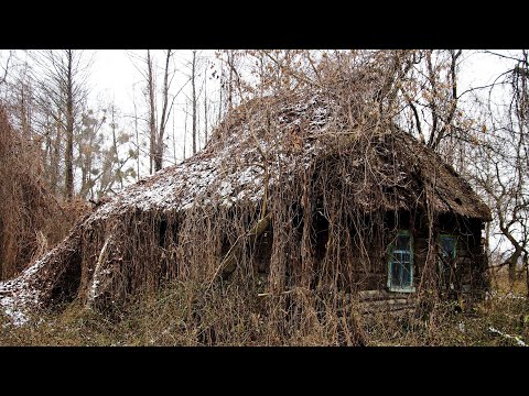 Видео: ЧАСТЬ 1Купили заброшенный участок 😰ДОМ В ДЖУНГЛЯХ/полный треш/всё зарослях