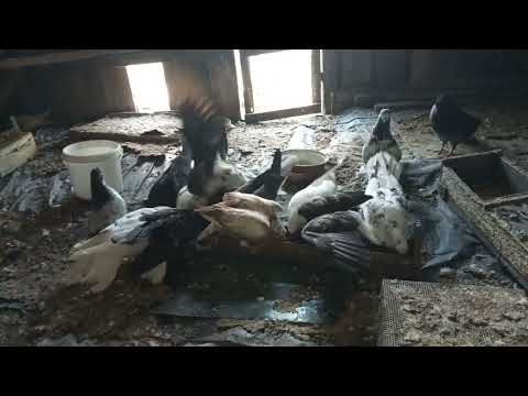 Видео: Все будет хорошо