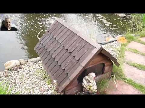 Видео: Пруд,аэрация химическая или механическая?
