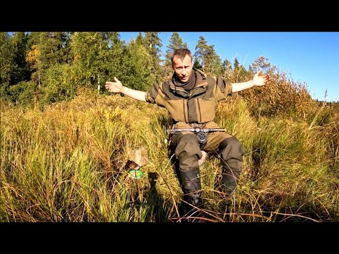 Видео: Рыбалка на плотву. Витькина кухня