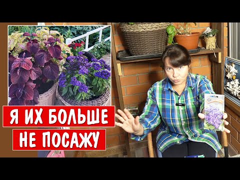 Видео: Мои ПОСЕВЫ 2025. Что я больше НЕ ПОСЕЮ НИКОГДА?