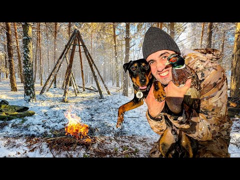 Видео: Строю огромную Хижину для выживания. Охота на фазана