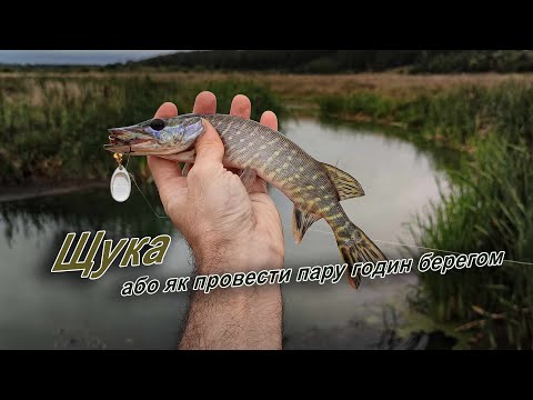 Видео: Зміна погоди і вередлива щука на невеликій річці.