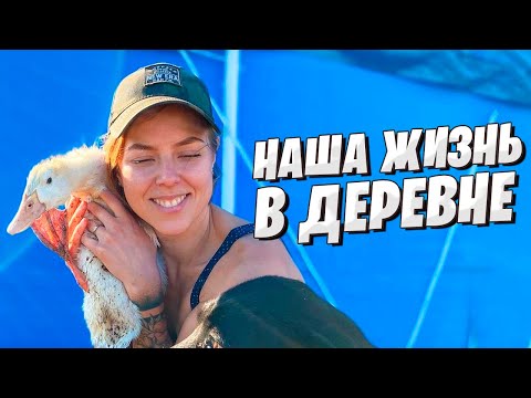 Видео: КУПИЛИ УТОК / ПОСТАВИЛИ БАССЕЙН / Пашем огород / Стройматериалы для гаража.