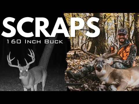 Видео: Охота с луком A 160!! (Самостоятельное видео) K Zone TV: "Scraps"