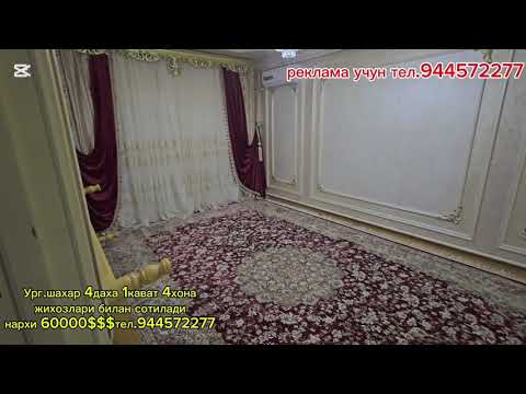 Видео: 10 ноября 2025 г.