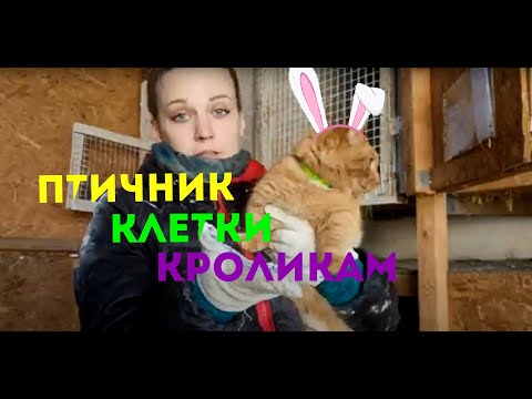 Видео: Строим птичник курятник сарай Клетки для кроликов Переезд в деревню