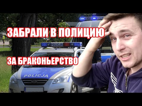 Видео: НАЛОВИЛ РЫБЫ В ПОЛЬШЕ ПОЙМАЛА ПОЛИЦИЯ РЫБАЛКА В ПОЛЬШЕ ЛОВЛЯ КАРАСЯ И ПЛОТВЫ ЗИМОЙ