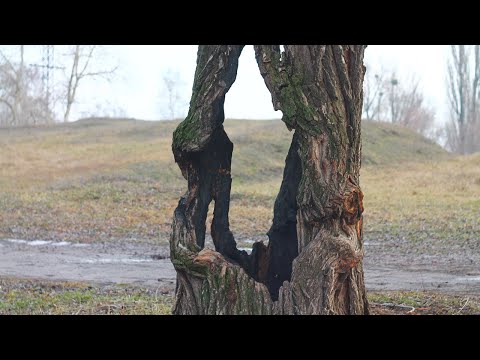 Видео: вы соглашаетесь - 117 500—122 200 (buccc prod.)