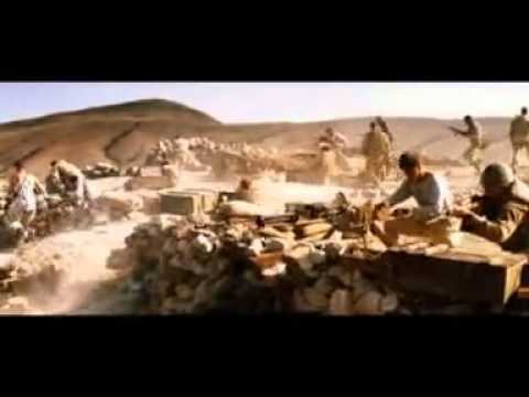 Видео: Волки уходят