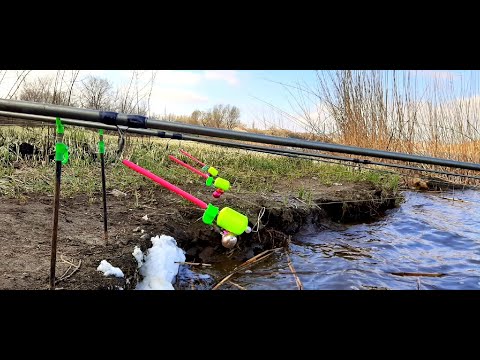 Видео: РЫБАЛКА на КОРМАКИ (пружину)Дубасим КАРАСЯ на домашнюю ПРИКОРМКУ!!!