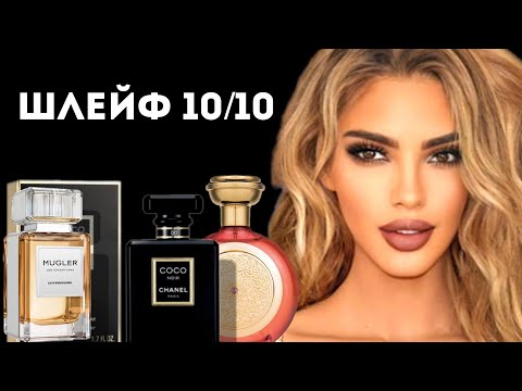 Видео: МОНСТРЫ ШЛЕЙФА: ШЛЕЙФ 10/10