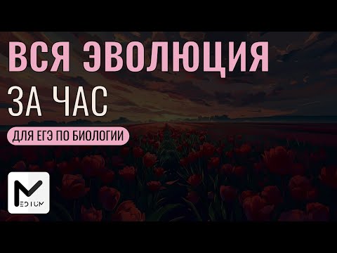 Видео: Повторяем эволюцию за час! ЕГЭ по биологии 2025