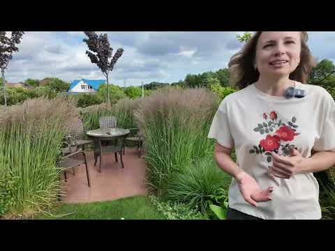 Видео: 🇺🇦 Сад Світлани Кучер 1 ЧАСТИНА. Розповідь власниці від початку створення до опису 80 сортів рослин