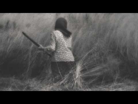 Видео: Георгий Колосов: Фёкла с Волк-острова