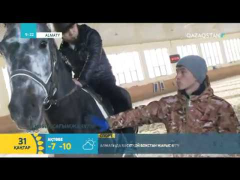 Видео: Атқа мініп серуендеудің пайдасы | Әлібек Шынтемір