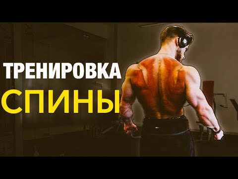 Видео: Как накачать МОЩНУЮ и ШИРОКУЮ спину? | Джефф Ниппард