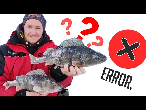 Видео: ОШИБКИ и ХИТРОСТИ при ловле крупного окуня зимой на балду, блесну и балансир