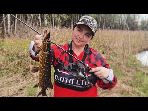 Видео: ЩУКИ В БОБРИНОЙ ЛУЖЕ| Что можно поймать в ручье на ультралайт?Разведка новых мест,прогулки по болоту