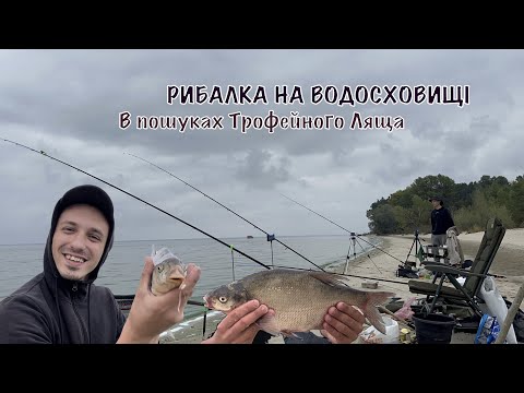 Видео: РИБАЛКА НА ФІДЕР. КИЇВСЬКЕ ВОДОСХОВИЩЕ. В пошуках великого Ляща