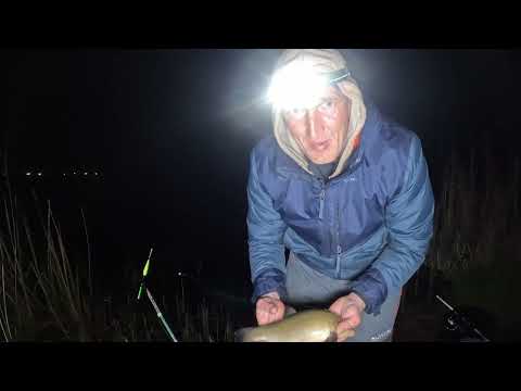 Видео: Ночной Линь в маю. Батл между Херабуной и Червяком. Линь и Лещ в одной рыбалке.