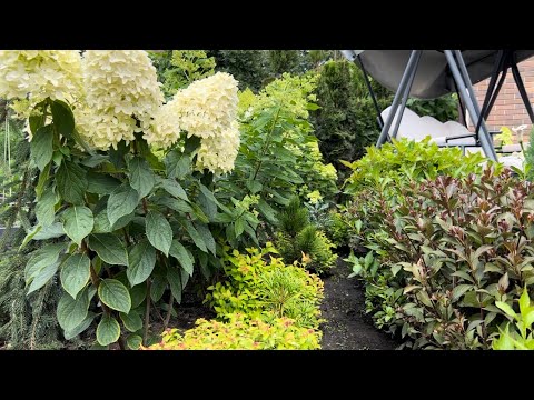 Видео: Ч.2. ПОДДЕРЖИВАЕМ ЛАНДШАФТНЫЙ ДИЗАЙН САДА: ПЛАНОВЫЙ УХОД ЗА ДЕКОРАТИВНЫМИ РАСТЕНИЯМИ! ОБЗОР!