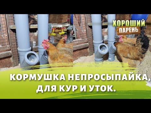 Видео: Кормушка из сантехнической трубы. Непросыпайка