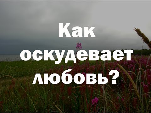 Видео: Как обрести дар любви?