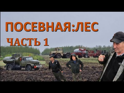 Видео: 🔴УНОСИМ НОГИ С ПОЛЯ!🔴 - ПОСЕВНАЯ: ЛЕС / ЧАСТЬ-1 / СЕЗОН 2025