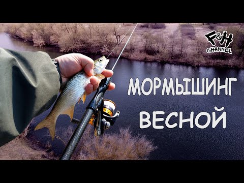 Видео: Лучшее место для весеннего мормышинга. Рыбалка на реке Красивая меча.