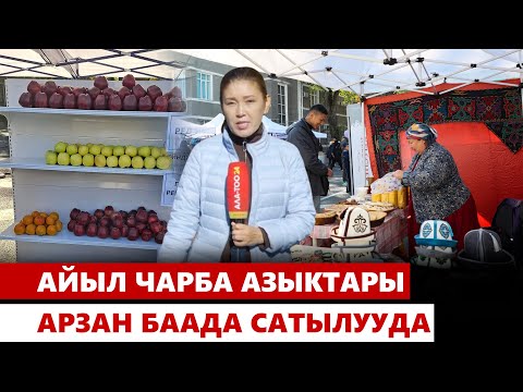 Видео: Айыл чарба азыктары арзан баада сатылууда